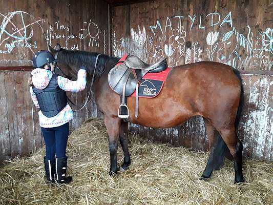 Święto Hubertusa 2017