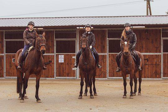 Nowe zasady dotyczące Odznak PZJ