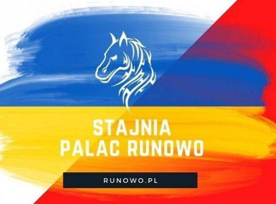 Pomoc dla Ukrainy - Pomoc dla Koni