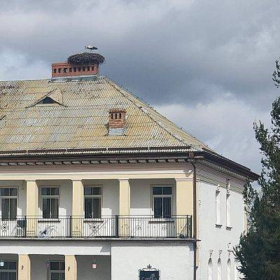 Wiosna zawitała do Runowa