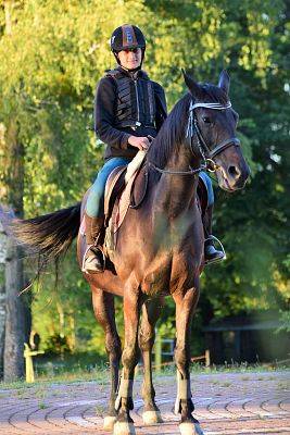 Jesienne nowości w Pałacu i Stajni