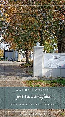 Jesień piękno kolorów