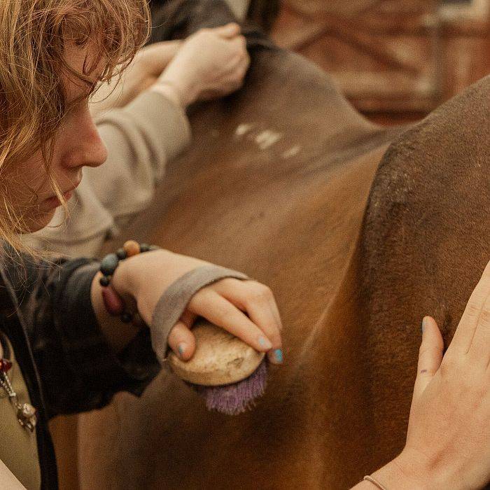 Edukacja jeździecka